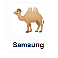 Bactrian Camel on Samsung