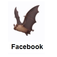 Bat on Facebook