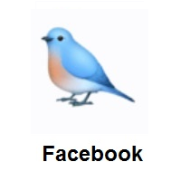 Bird on Facebook