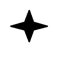 Black Four-Pointed Star