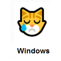 Crying Cat Face on Microsoft Windows
