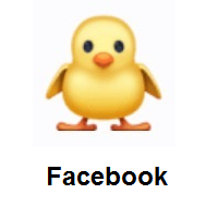 Front-Facing Baby Chick on Facebook