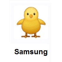 Front-Facing Baby Chick on Samsung