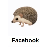 Hedgehog on Facebook
