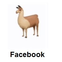 Llama on Facebook