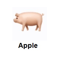 Pig on Apple iOS