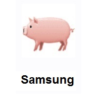 Pig on Samsung