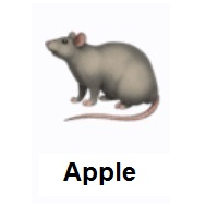 Rat on Apple iOS