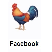 Rooster on Facebook