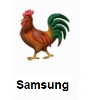 Rooster on Samsung