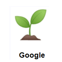 Seedling on Google Android