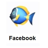Tropical Fish on Facebook