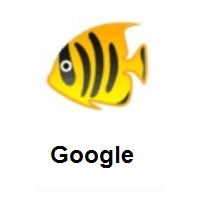 Tropical Fish on Google Android