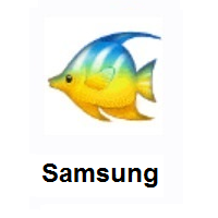Tropical Fish on Samsung