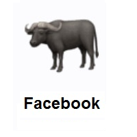 Water Buffalo on Facebook