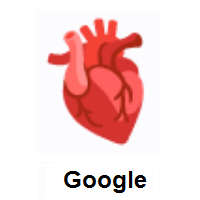 Anatomical Heart on Google Android