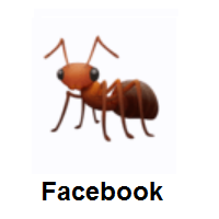 Ant on Facebook