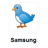 Bird on Samsung