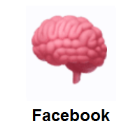 Brain on Facebook