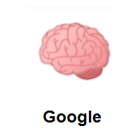 Brain on Google Android