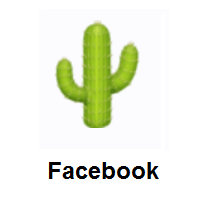 Cactus on Facebook