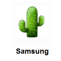 Cactus on Samsung
