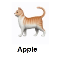 Cat on Apple iOS