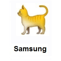 Cat on Samsung