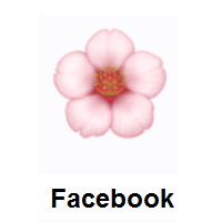 Cherry Blossom on Facebook