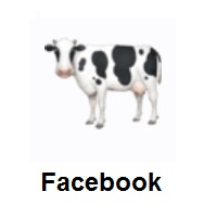 Cow on Facebook