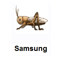 Cricket on Samsung