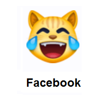 Crying Laughing Cat on Facebook