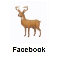 Deer on Facebook