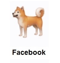 Dog on Facebook