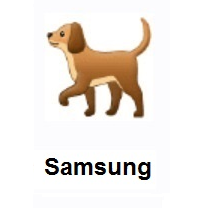 Dog on Samsung
