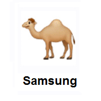 Dromedary on Samsung