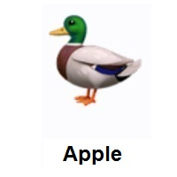 Duck on Apple iOS