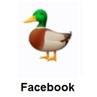 Duck on Facebook