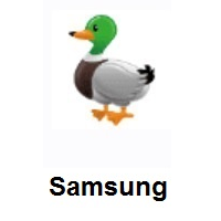 Duck on Samsung
