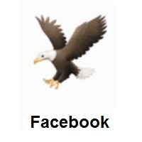 Eagle on Facebook