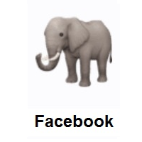 Elephant on Facebook