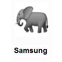 Elephant on Samsung