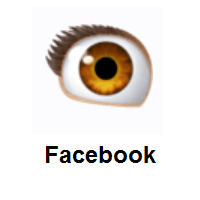 Eye on Facebook