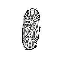 Fingerprint