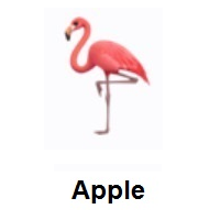 Flamingoon Apple iOS
