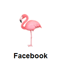 Flamingoon Facebook