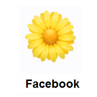 Flower on Facebook