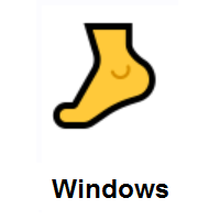Foot on Microsoft Windows