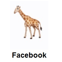 Giraffe on Facebook