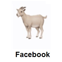 Goat on Facebook